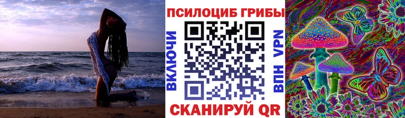 Псилоцибиновые грибы прущие грибы  МЕГА ТОР  Кремёнки 